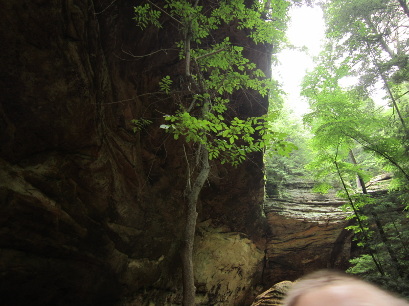 Illustration for article titled Final installment: Ash Cave and Cedar Falls